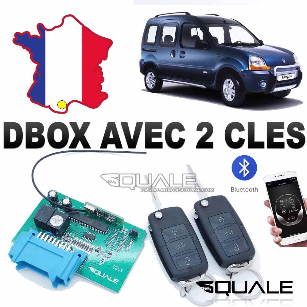 DBOX pour kangoo 1 phase 1 avec 2 clés télécommandes (Anti démarrage + ouverture/fermeture)
