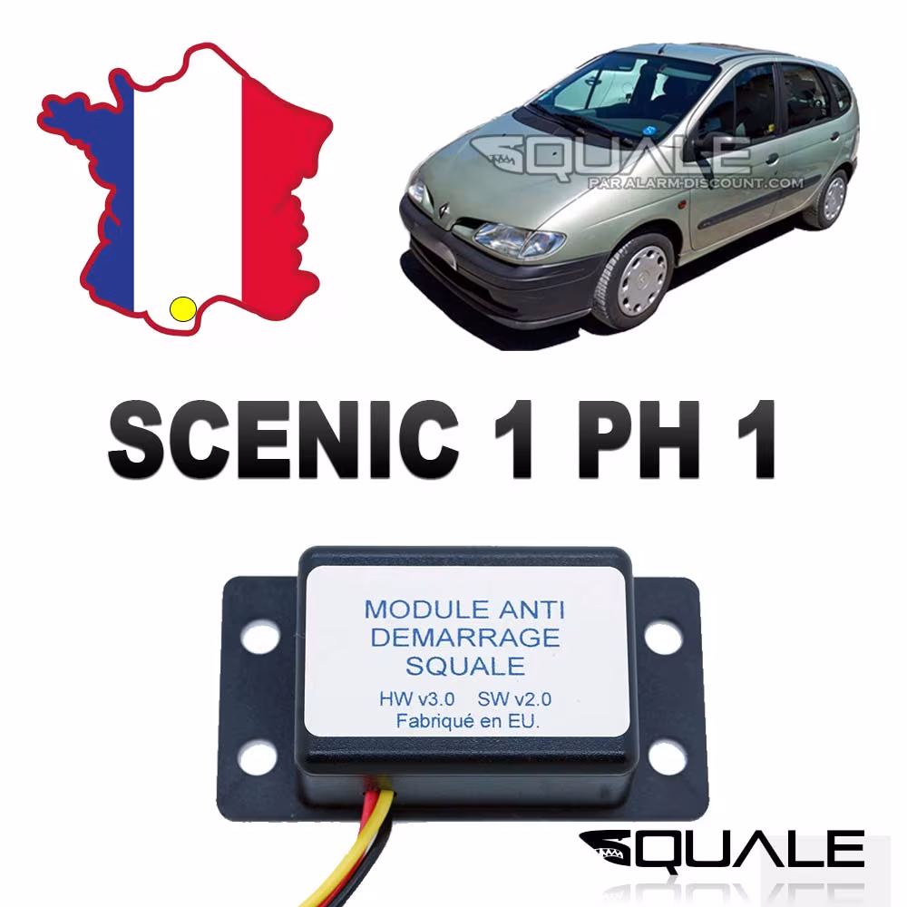Module de désactivation d'anti démarrage RENAULT SCENIC 1 PHASE 1